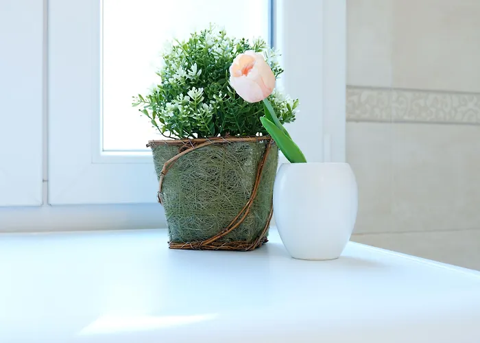 Guesthost - Marconi Airport Cozy Dream Flat דירה *