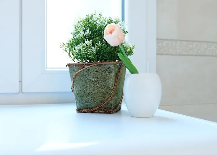 Guesthost - Marconi Airport Cozy Dream Flat