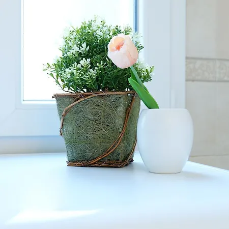 Guesthost - Marconi Airport Cozy Dream Flat