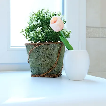 Guesthost - Marconi Airport Cozy Dream Flat Apartamento *